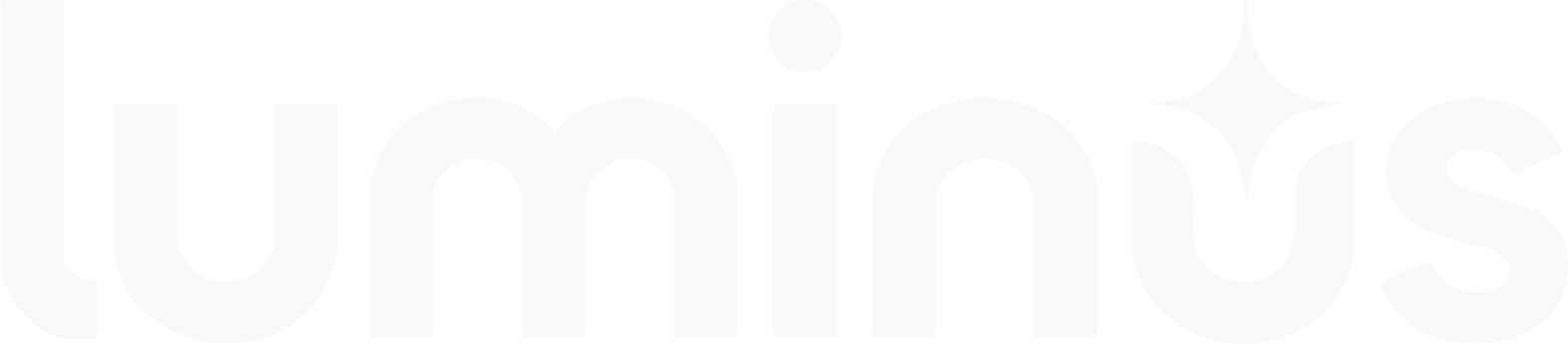 Luminus Conecta